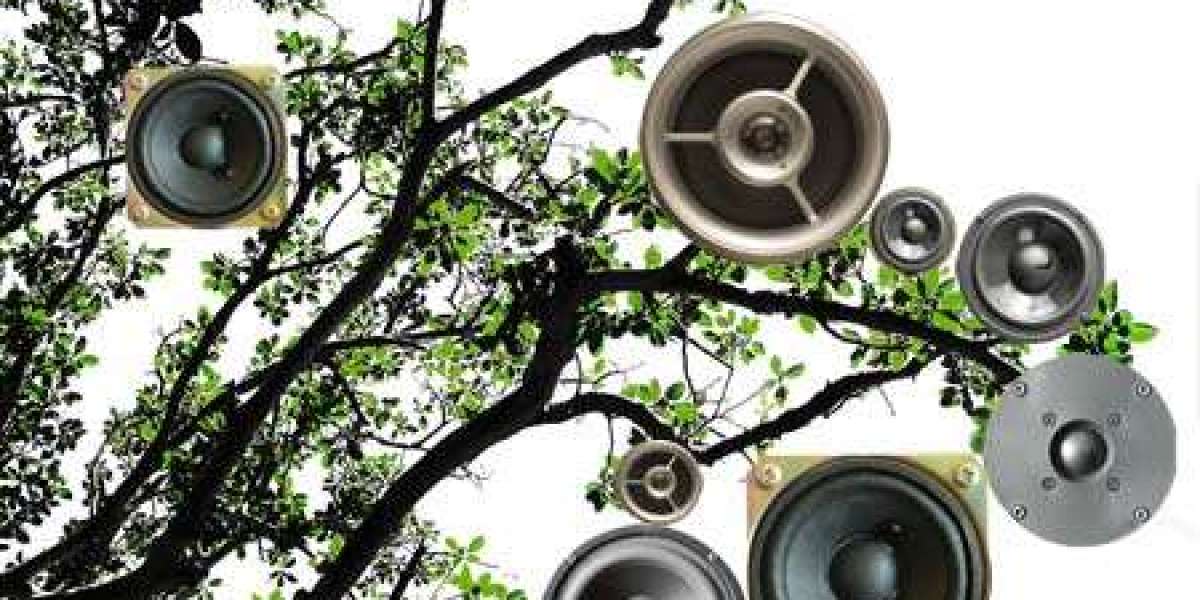 Play & Win Big with Top Bonuses Today!