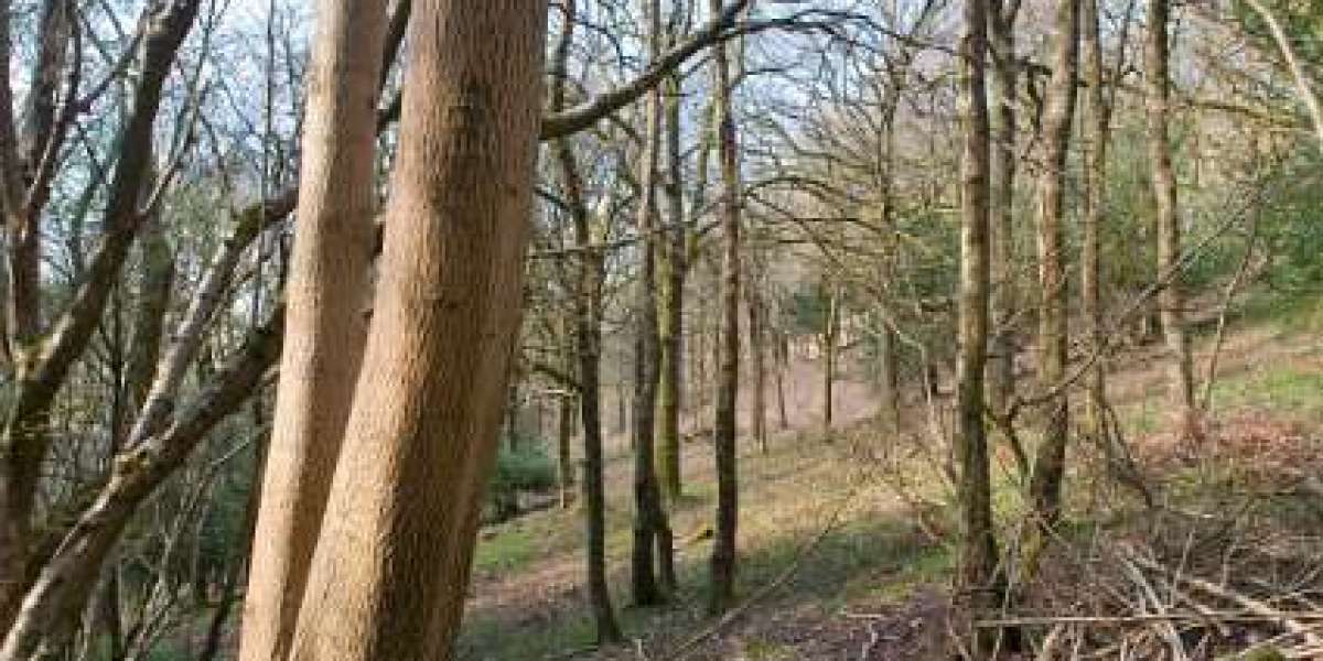 Meet the People Behind the Play