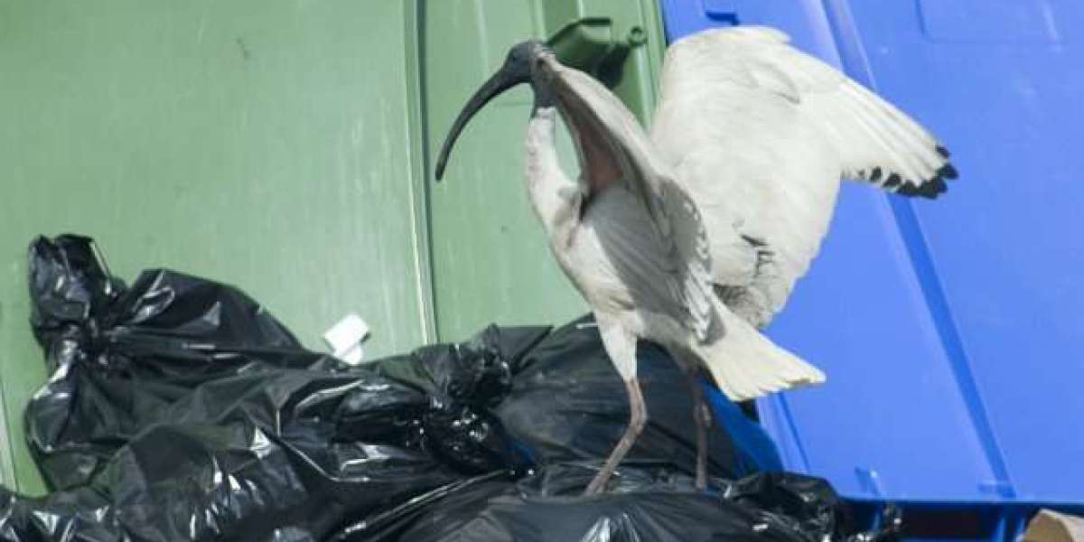 도시바조명제어 파나소닉조명제어 >회사소식 에이펙스이엔지 조명제어 디밍제어 전력제어 BAS