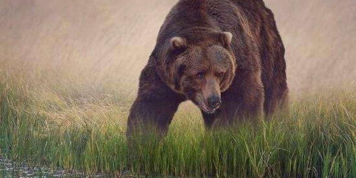 Bet 9Ja Promotion Code 2025: YOHAIG - ₦100K Welcome Bonus & Free BET in Nigeria