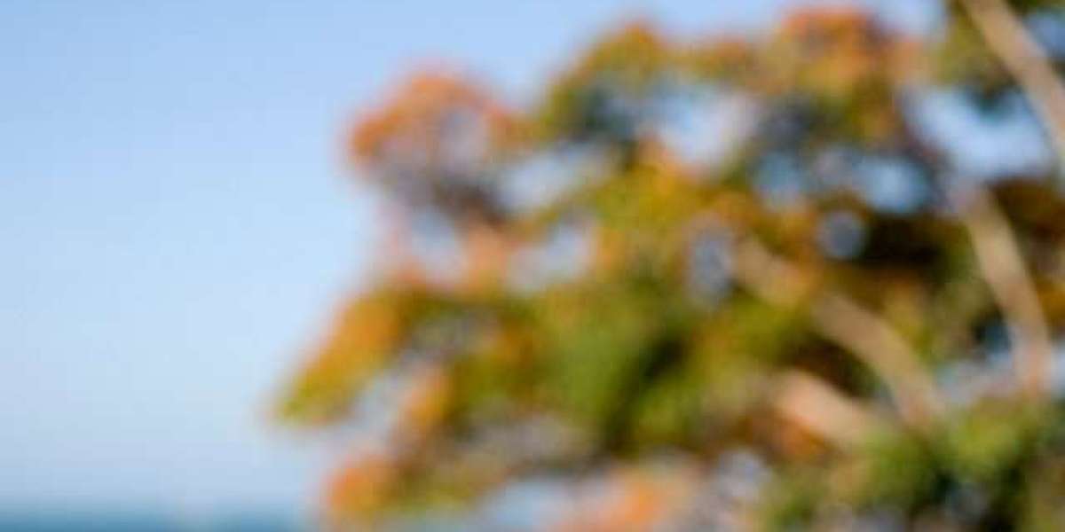 15 Best Online Casinos Australia 2025 Real Money Casino Sites