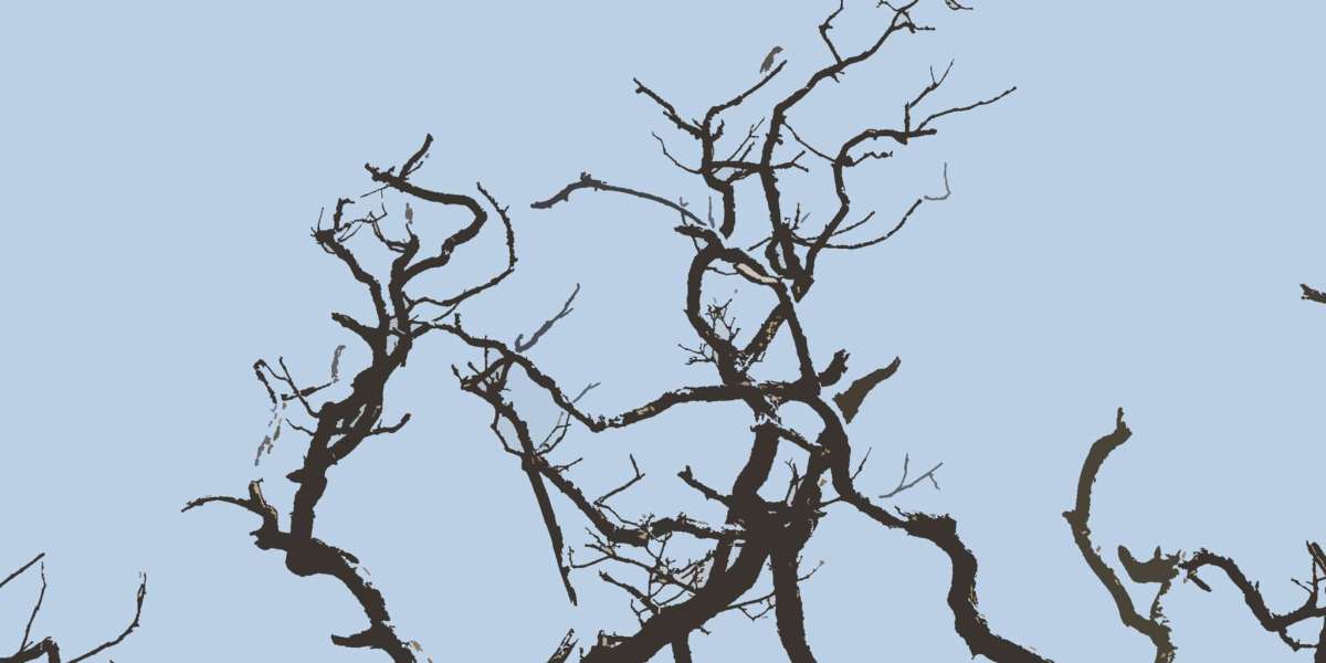 Hell Spin Casino Review Bonuses, Promotions, Games