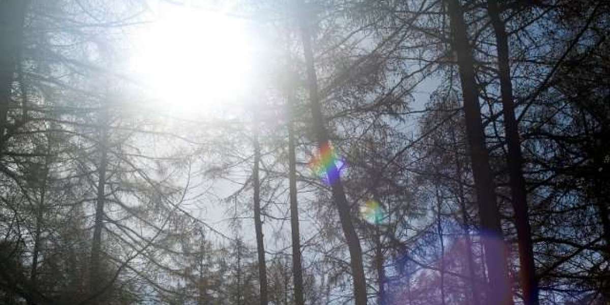 The Hottest Gaming Action is at Casino Arizona