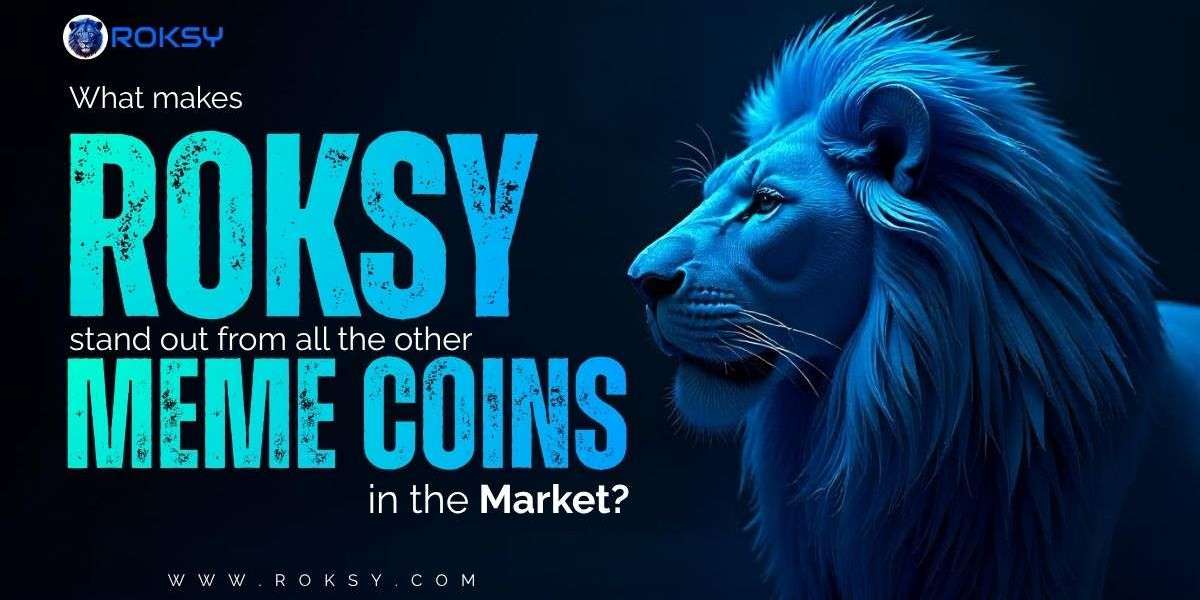 What makes Roksy stand out from all the other meme coins in the market?