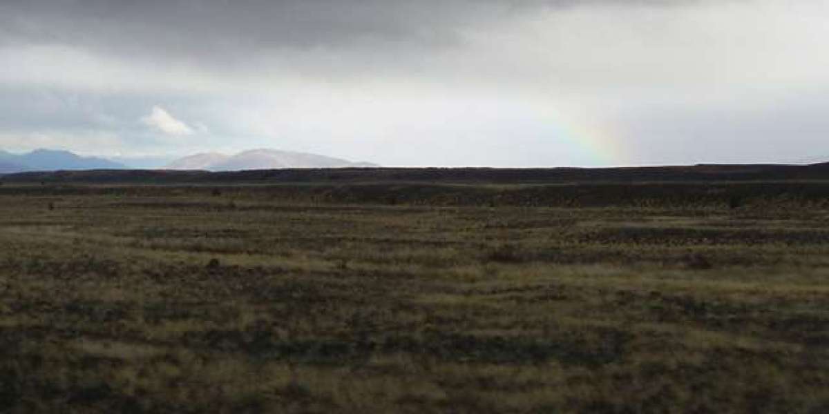 Dine at the Best Restaurants in Southbank