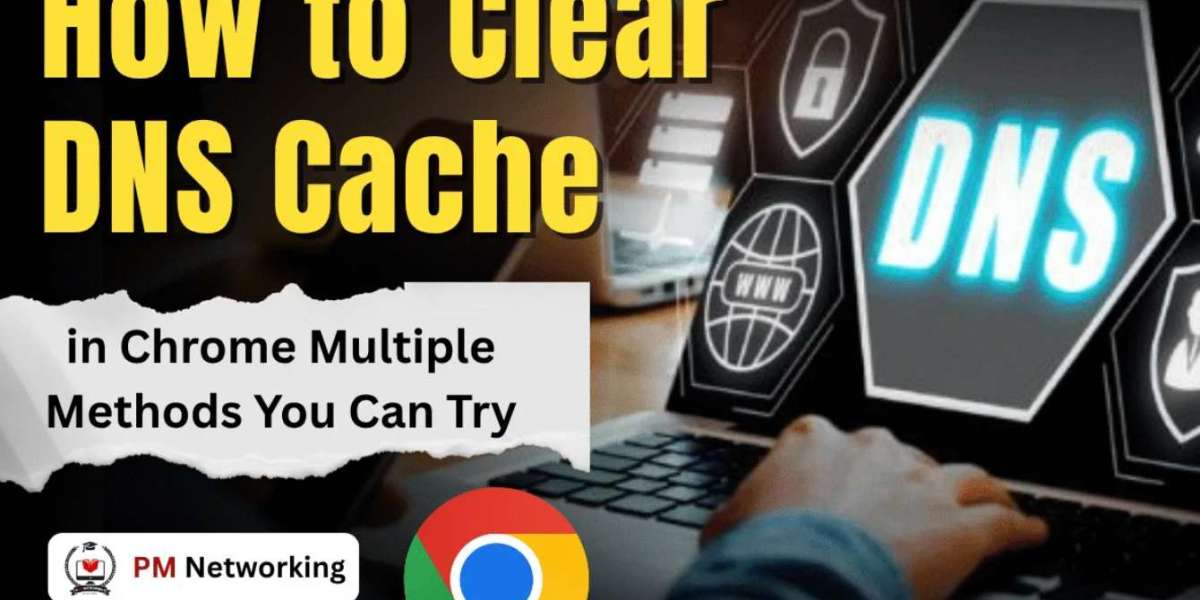 chrome.//net-internals/dns History: The Secret Page to View and Fix DNS Issues in Chrome