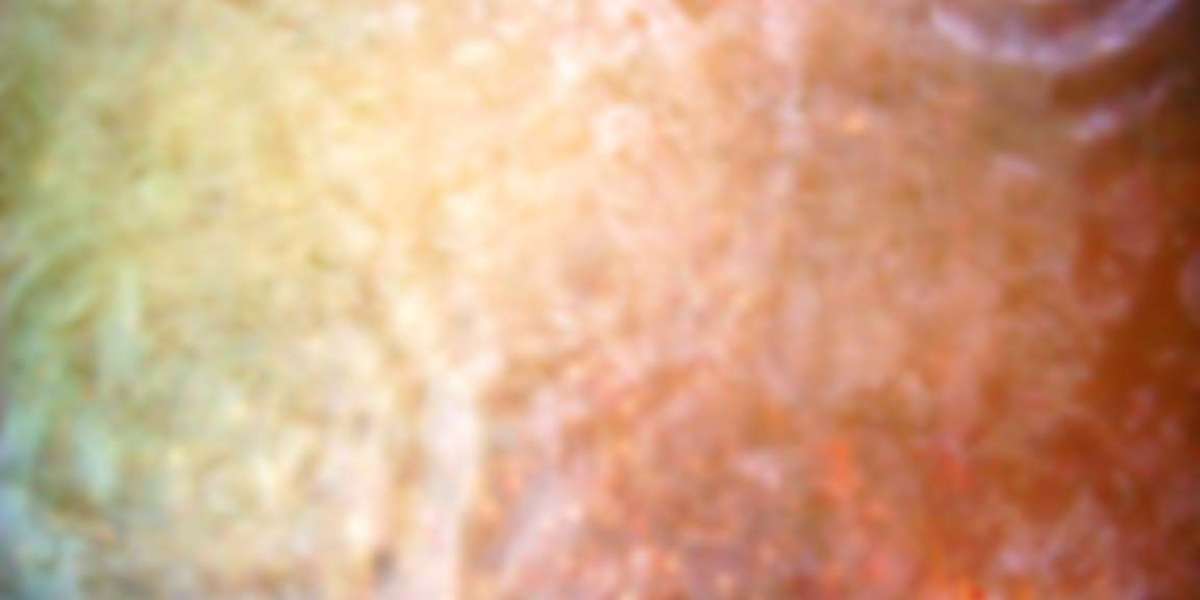 Top 100 Real Money Online Casinos 2025