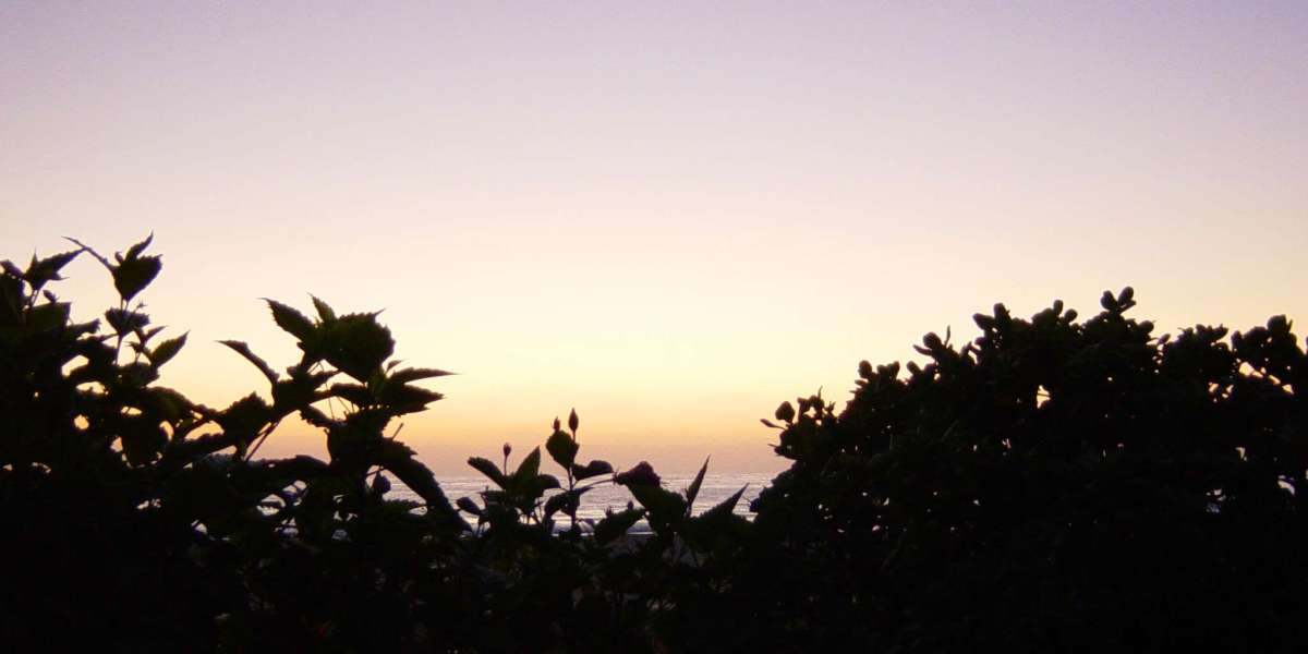 Spoil a loved one with Crown Gifts