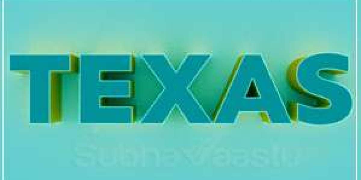 Trusted Vastu Consultant in Texas for Harmonious Living & Prosperity