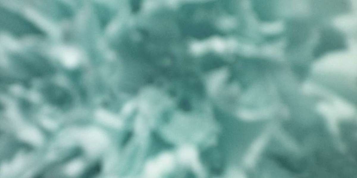 RocketPlay Casino Review 100% up to 500 AUD + 100 Free Spins