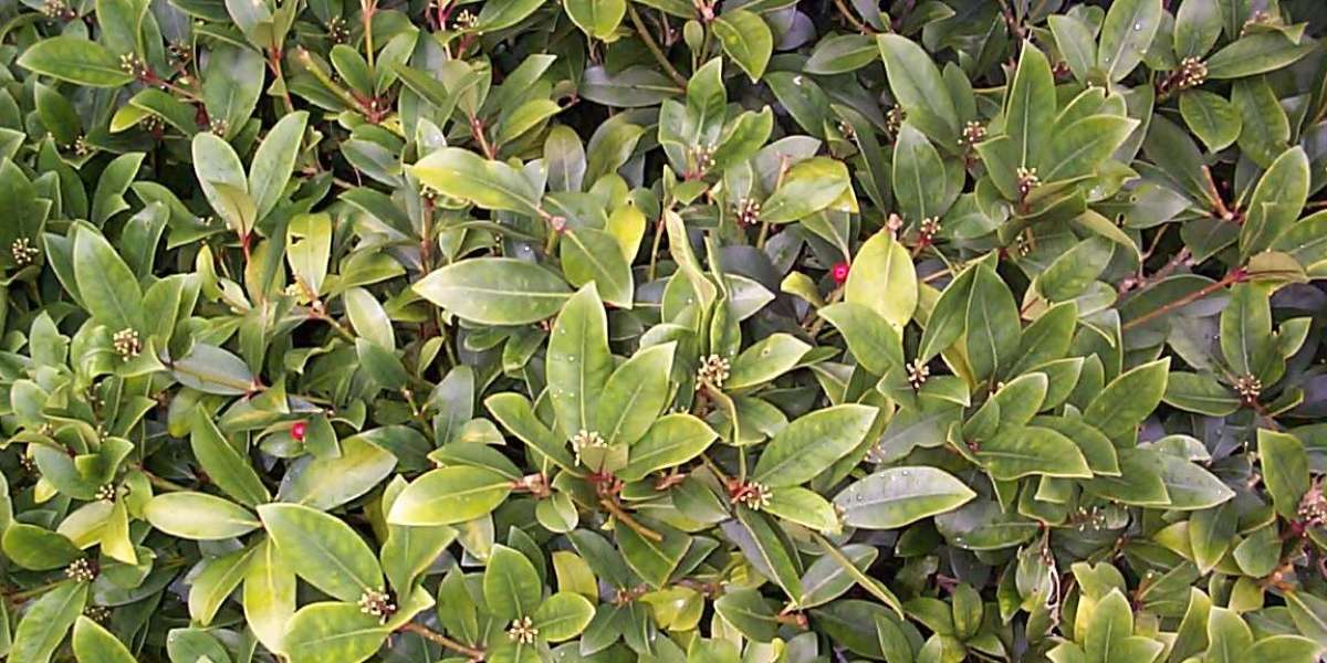 Best Casino Hotels in Sydney from $111