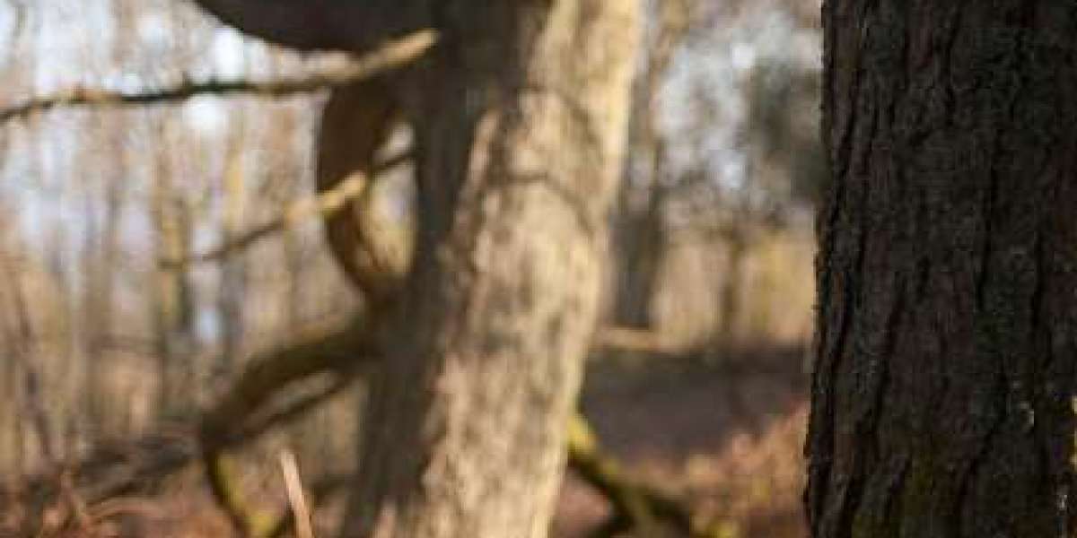 Sito ufficiale del casinò online