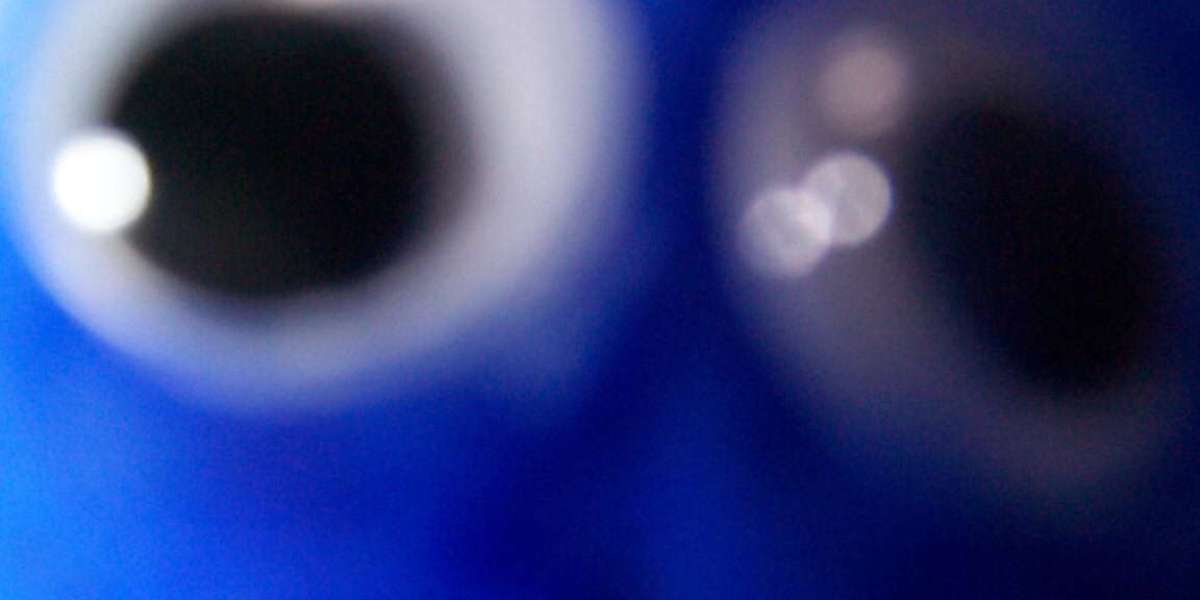 Top Slots and Exclusive Bonus Deals in Canada