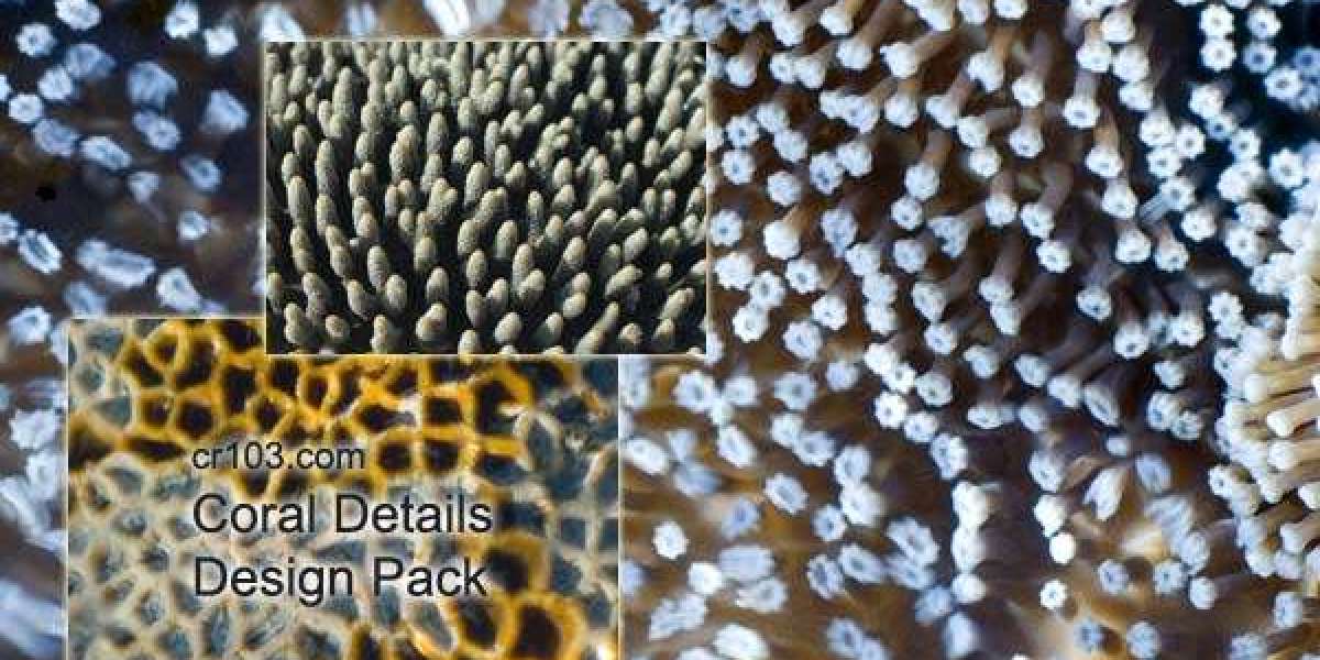 SGR Star Entertainment has a stalker rather than a saviour