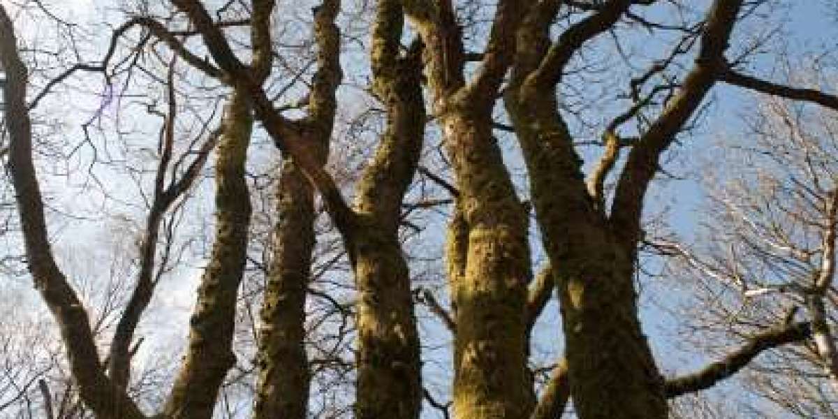 Enjoy the Best Promotions