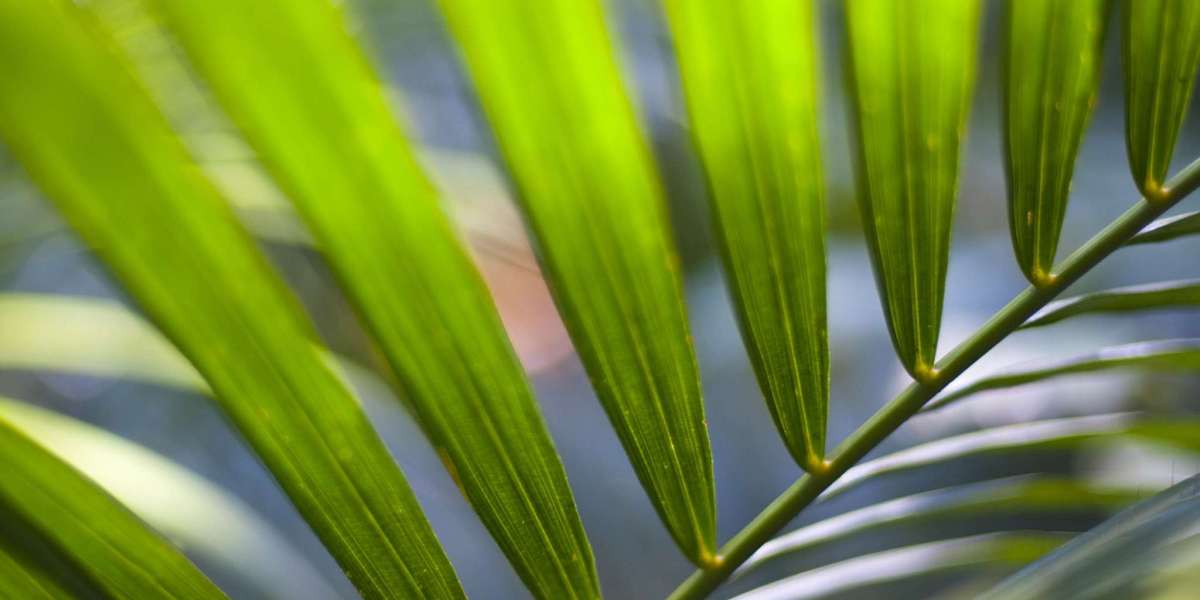 Best Online Casinos in the US: Top Casino Sites for Real Money