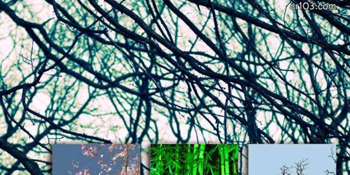 Best Real Money Online Casinos for US Players 2025