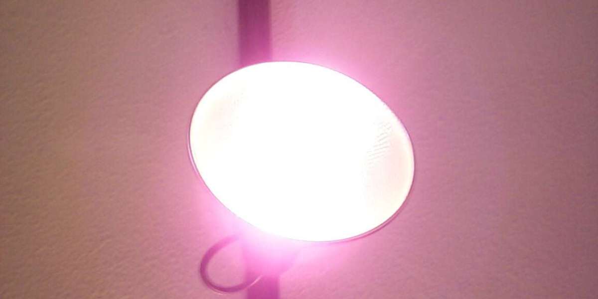 New Online Casinos USA: Crown Coins Voted Most Trusted for