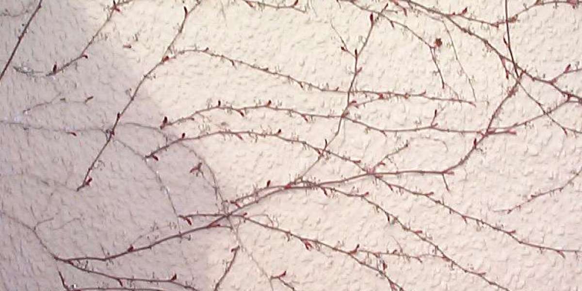 Bonuses and Online Games 2025