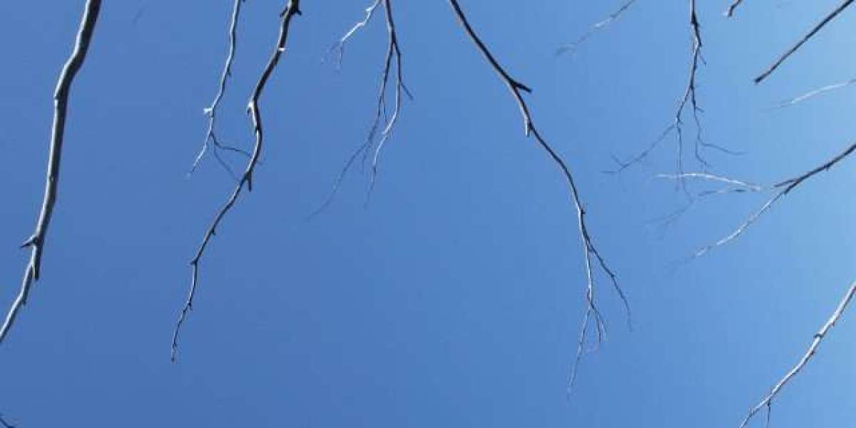 15 Best Online Casinos Australia 2025 Real Money Casino Sites