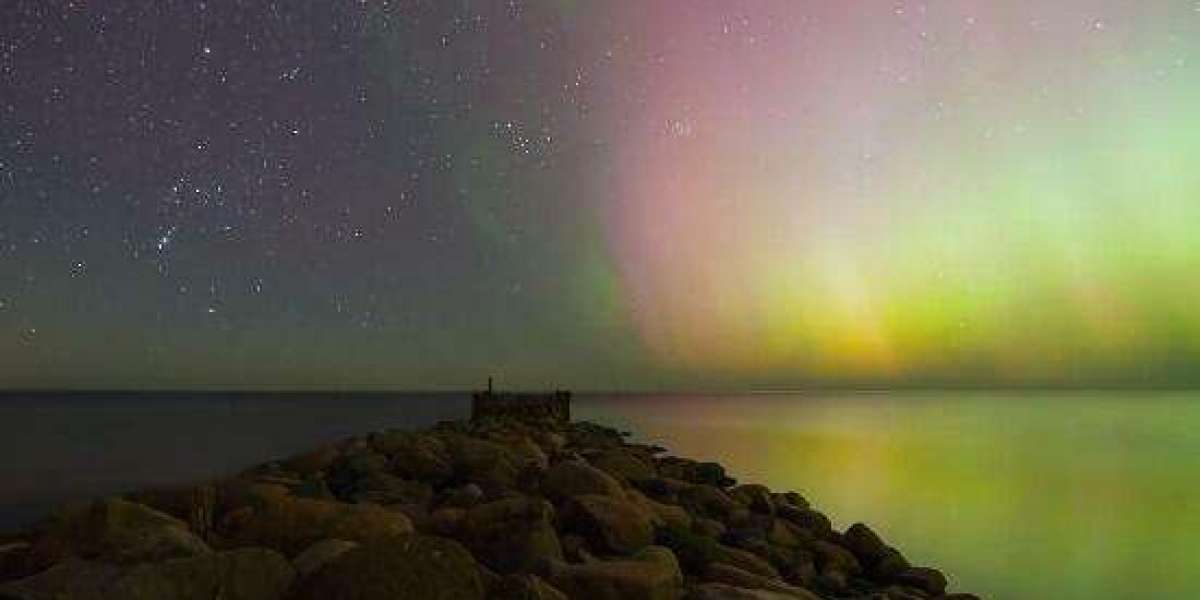 Xyz089’s Official Bio: The Woman Behind the Screen