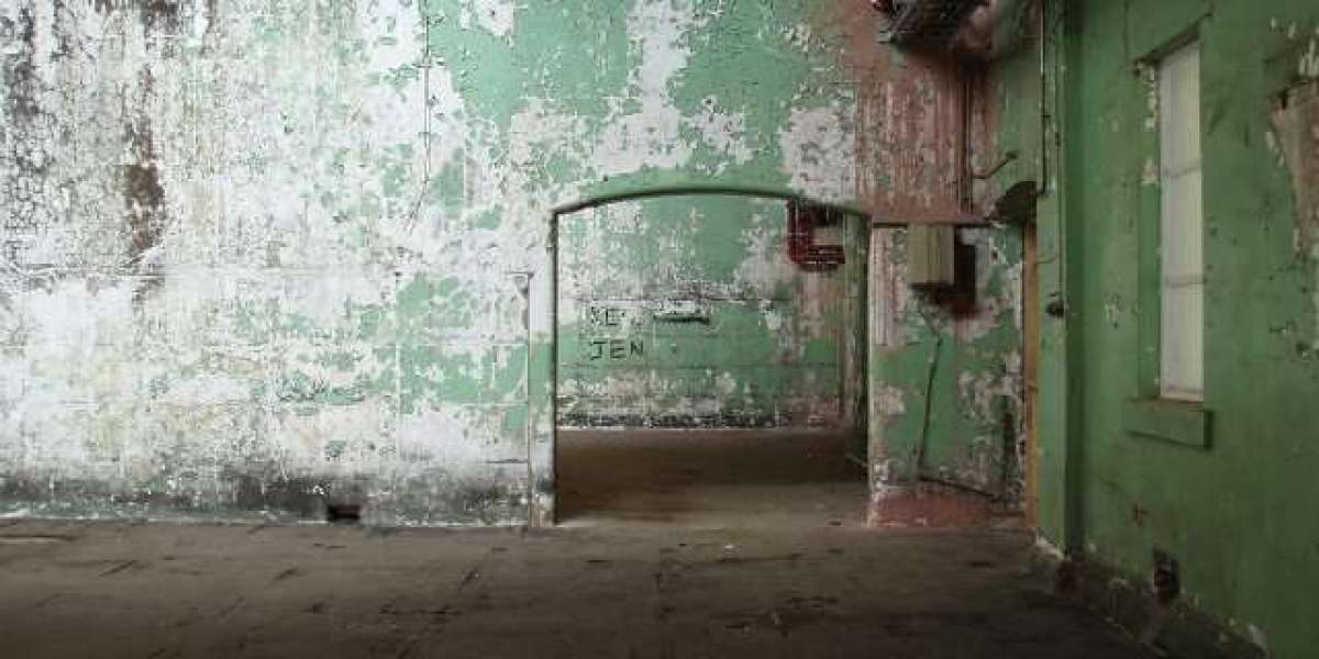 Exciting Games, Generous Rewards, and Reliable Payouts