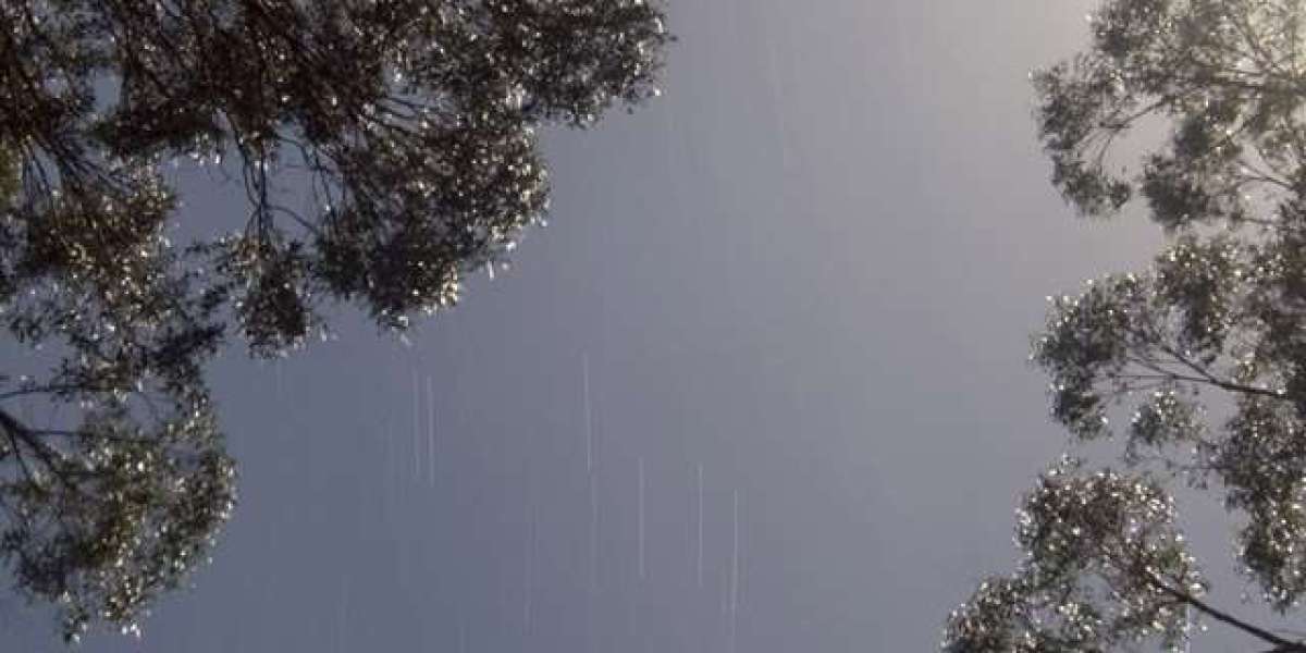 Bonuses, Games & Mobile App 2025