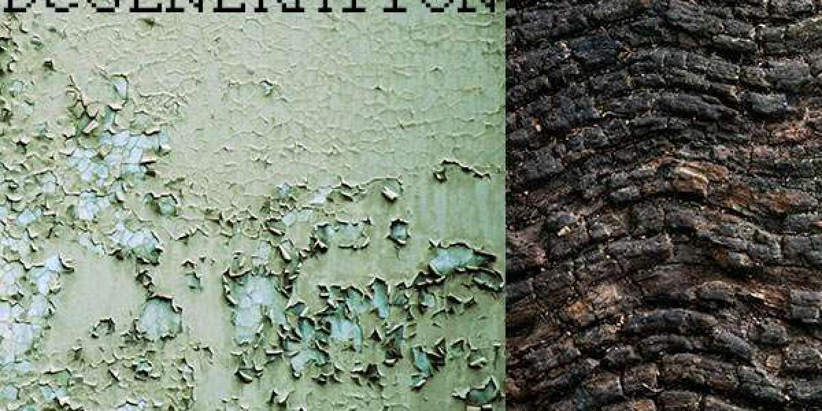 Casino Mate Australia Trusted Online Casino for Real Money Play