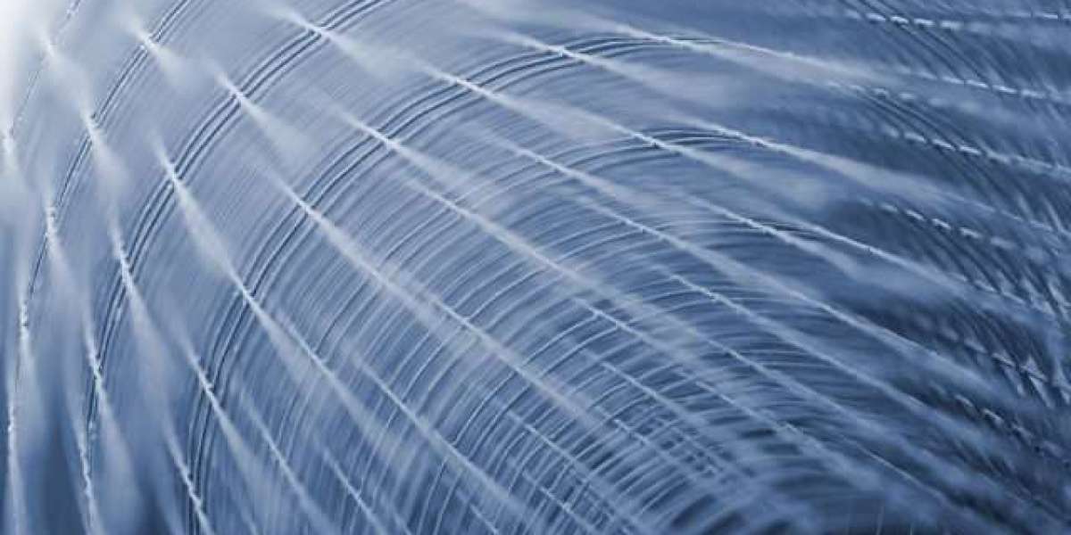 Experience the Thrill of Live Casino Gaming