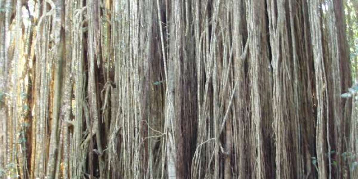 Crown Coins Casino Review Reviewed and Rated by a Verified Expert