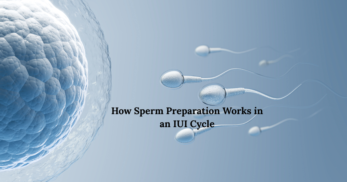 best ivf doctor in delhi ncr | ivf specialist doctor in delhi | bestivfclinic