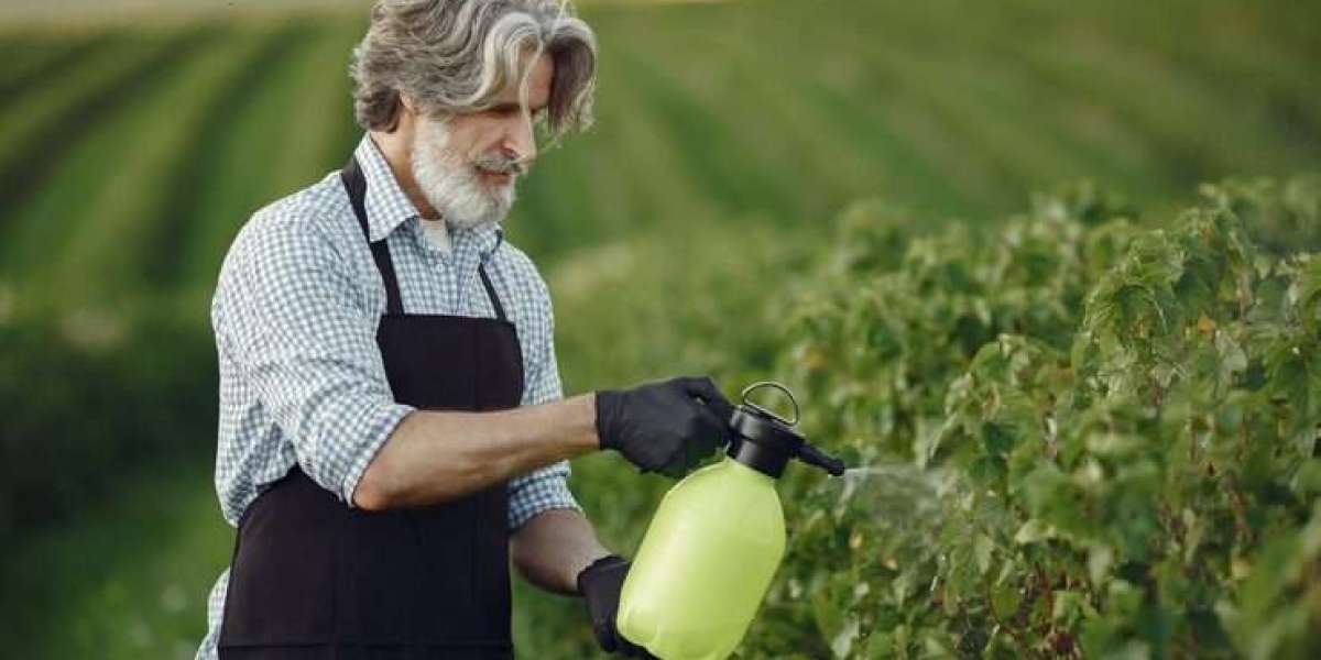 Carbon Farming Gains Momentum as Agriculture Becomes Part of Climate Mitigation Strategies